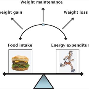 Weight Loss Hypnosis - The HCG Weight Loss Plan--Pros And Cons